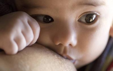 La leche materna, un tejido vivo