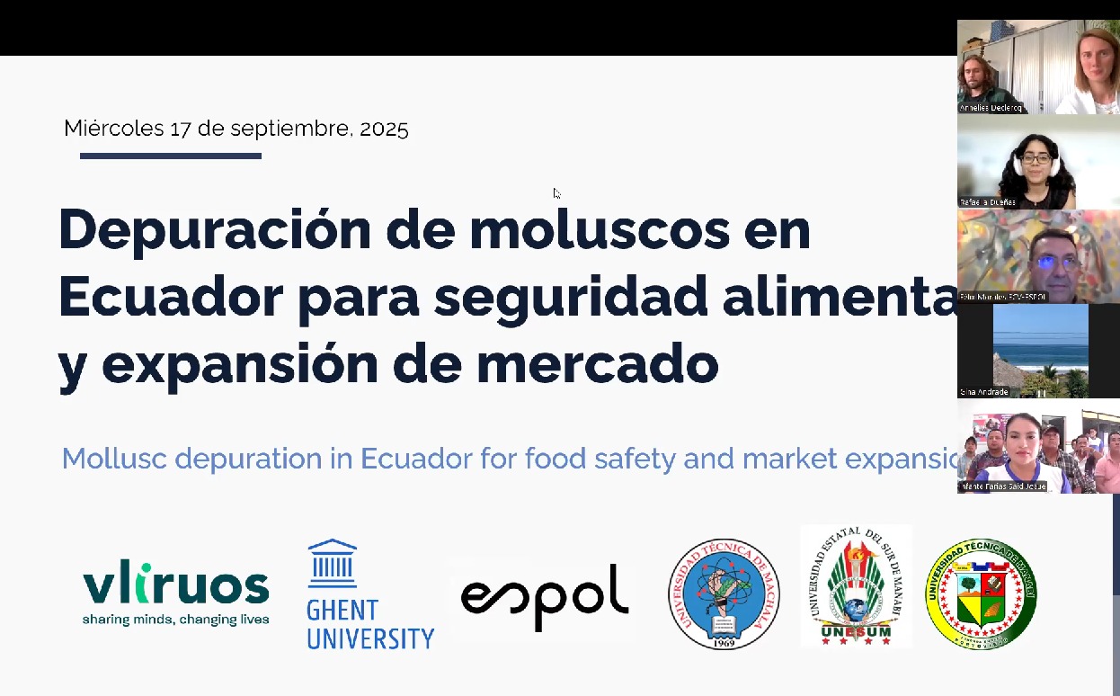 Proyecto Depuracion