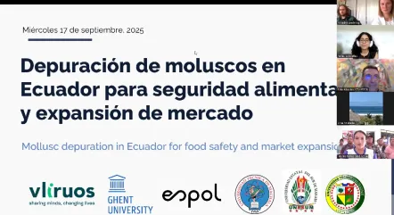 Proyecto Depuracion